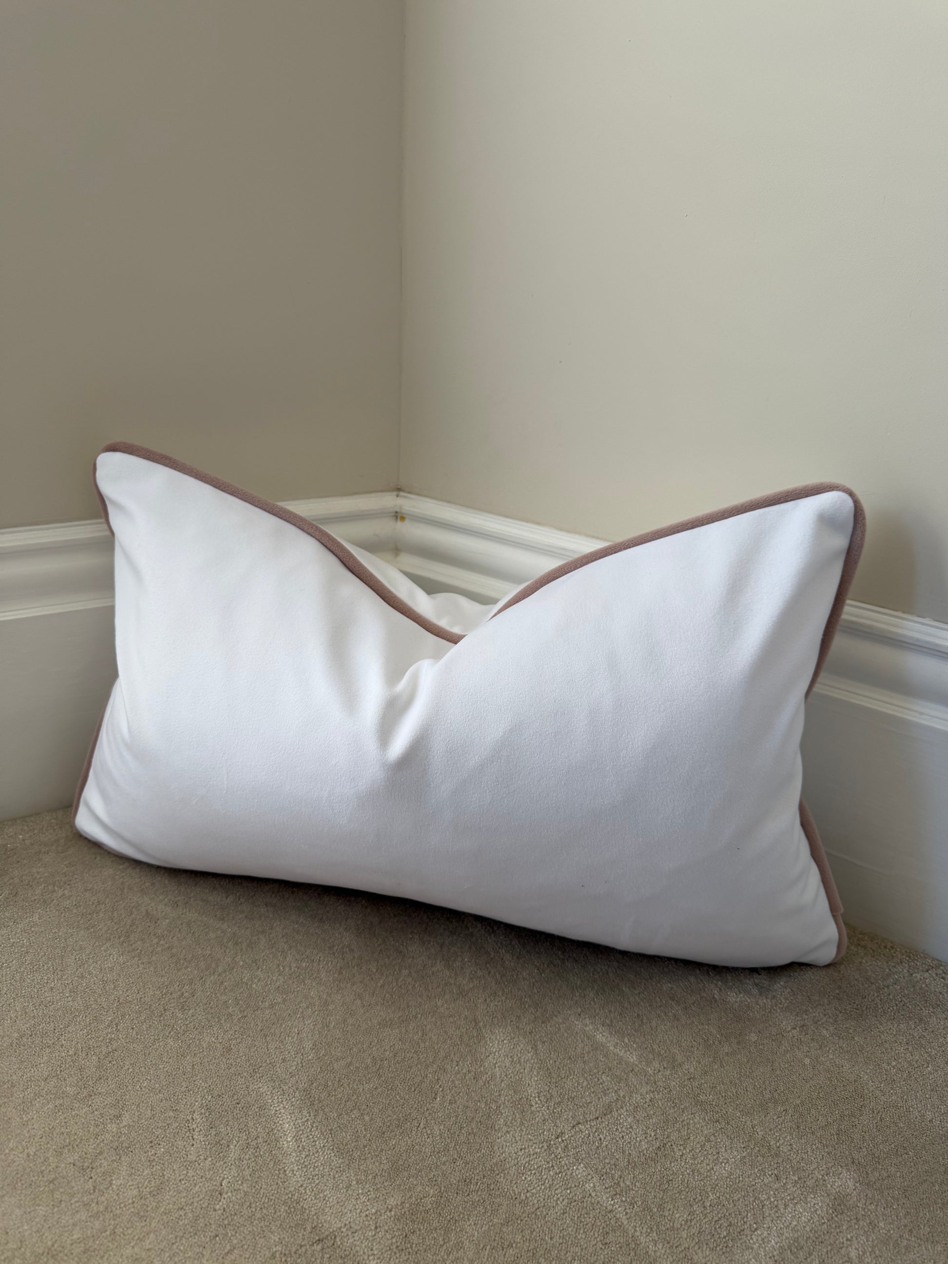 White medium rectangle pink piping